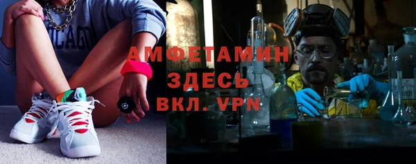 сатива Арсеньев