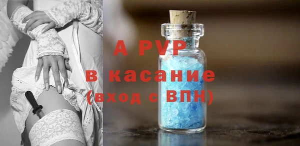 сатива Арсеньев