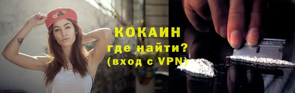 сатива Арсеньев