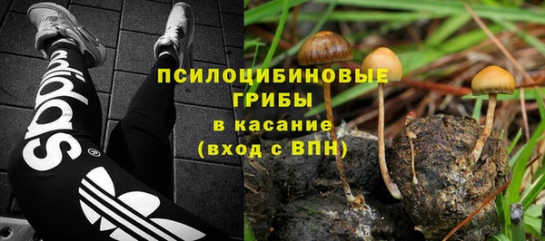соль ск Аркадак