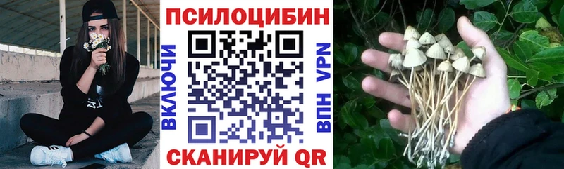 OMG зеркало  Армянск  Галлюциногенные грибы Psilocybe  купить закладку 